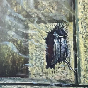 Bogár 60x50 cm akril, vászon